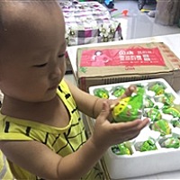 微露照晨光