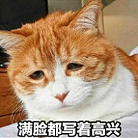 喵鱼鱼鱼鱼鱼鱼