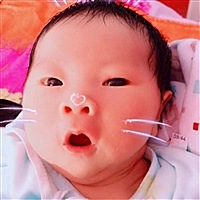 向阳花YY
