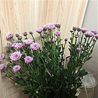 低调奢华有内涵