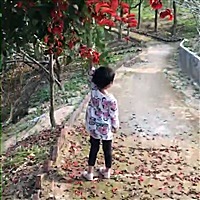 遗忘就是幸福、