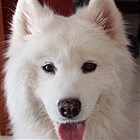 鹿🐶鹿    ོོོོོོ     ོ