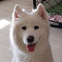 鹿🐶鹿    ོོོོོོ     ོ