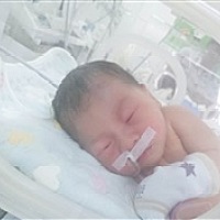 贝贝贝.