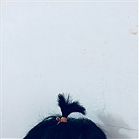 🌻单品铺🌻主号