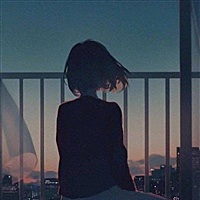 2019的猪宝