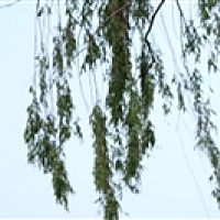 宝宝用品