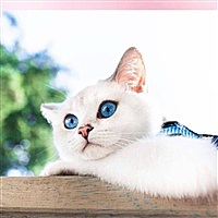 。™L