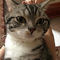 🐾w