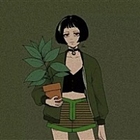 森屿岛树时光恋人°