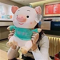 猪宝宝来