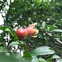 期待小宝一一到来