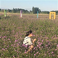 柠檬不酸心好甜