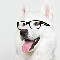 打哈哈的兔小白