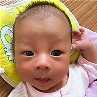 小奥鱼