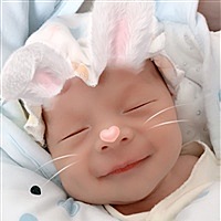 菲菲公主