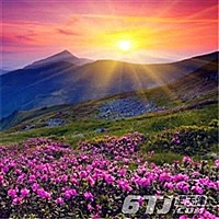 备孕二宝
