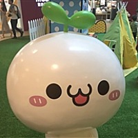 小猪猪加油