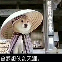 怀孕中
