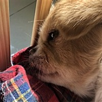 肥姐