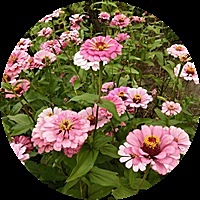 如果星星不发光！