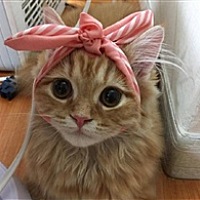 宝儿￥