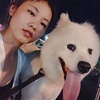 住在白日梦里的小情人、