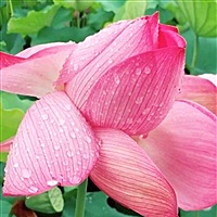 从前世逃到今生