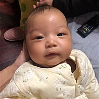 蒲公英的梦