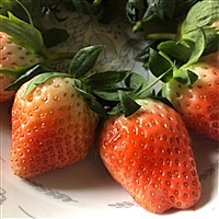 夜亡者Seventee🍷