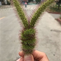 HYGJYJCQ