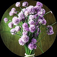 👣 傻傻的丫头👣