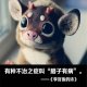 怎么可以吃兔兔