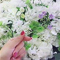 手机🌄相片快速冲洗🖨🌇