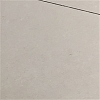 蓓蕾