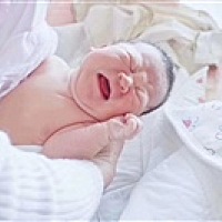 宗介