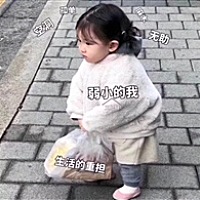 梦落红尘