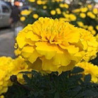 小小淑0325