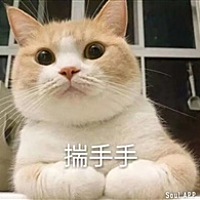 像夏花一样微笑
