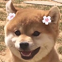小鹿欢