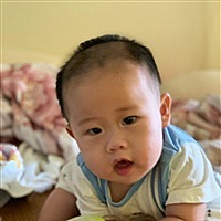随缘而安
