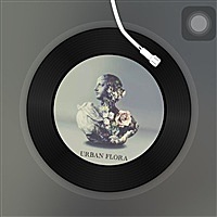 吴雨