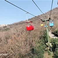 露露最棒