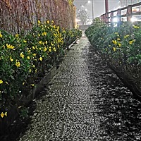 大宝
