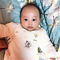 Z丽S