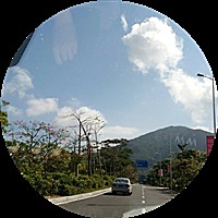 猪宝宝快到妈妈肚子里