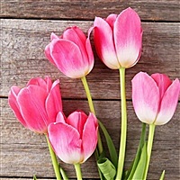 青青绿花