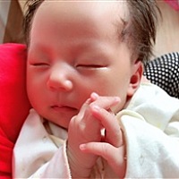 然宝。