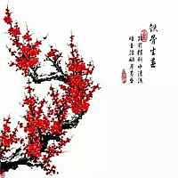 等待守护守护你我