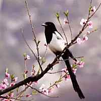 等待守护守护你我